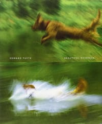 书籍 Beautiful Evidence的封面