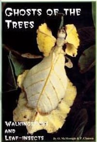 Ghosts of the Trees