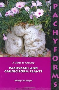Pachyforms