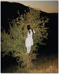 Tabriz to Shiraz