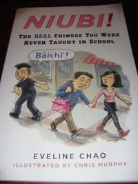 书籍 Niubi!的封面