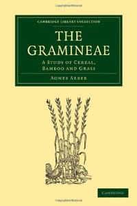 The Gramineae