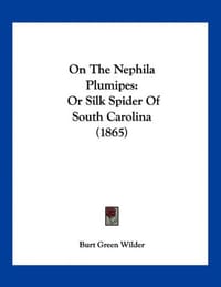 On the Nephila Plumipes