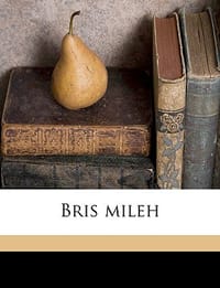 Bris Mileh