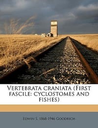 Vertebrata Craniata