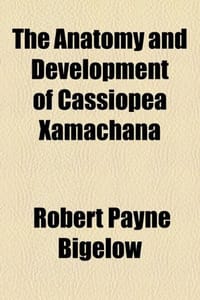 The Anatomy and Development of Cassiopea Xamachana