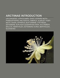 Arctiinae Introduction