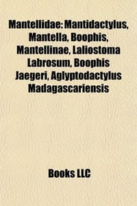 Mantellidae Introduction