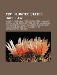 1991 in United States Case Law