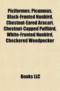 Piciformes Introduction