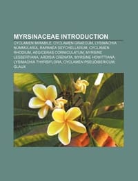 Myrsinaceae Introduction