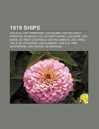 1919 Ships