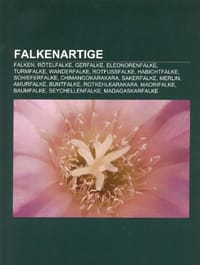 Falkenartige - Quelle Wikipedia