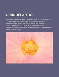 Grundelartige - Bucher Gruppe