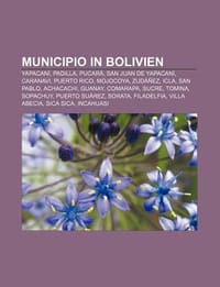 Municipio in Bolivien