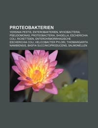 Proteobakterien