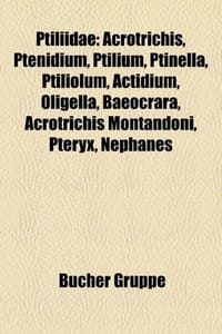 Ptiliidae