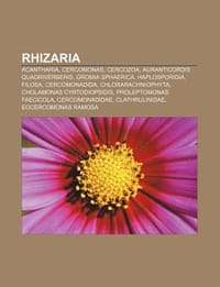 Rhizaria - Quelle Wikipedia; Bucher Gruppe;