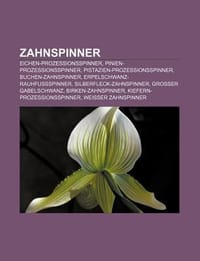 Zahnspinner - Quelle Wikipedia; Bucher Gruppe;