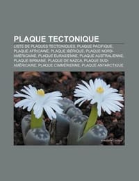 Plaque Tectonique