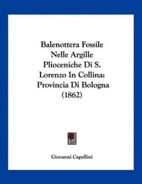 Balenottera Fossile Nelle Argille Plioceniche Di S. Lorenzo in Collina