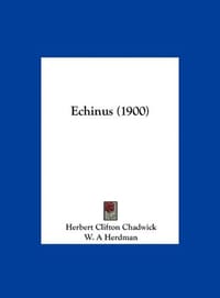 Echinus