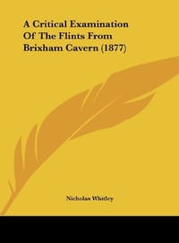 A Critical Examination of the Flints from Brixham Cavern
