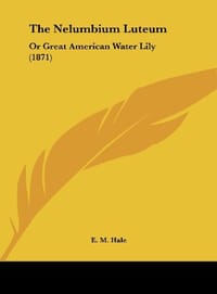 The Nelumbium Luteum
