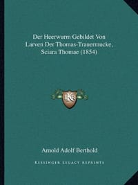 Der Heerwurm Gebildet Von Larven Der Thomas-Trauermucke, Sciara Thomae