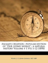 Animate Creation
