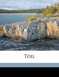 Toil