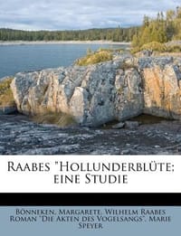 Raabes \Hollunderbl Te; Eine Studie"