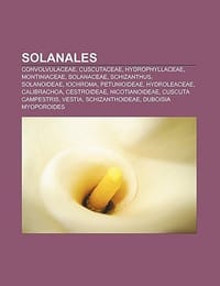 Solanales