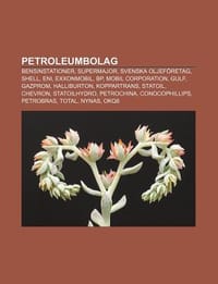 Petroleumbolag