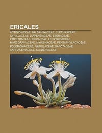 Ericales