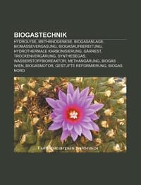 Biogastechnik