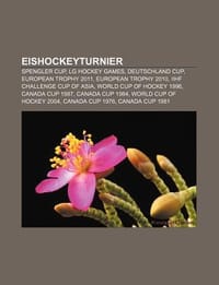 Eishockeyturnier
