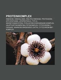 Proteinkomplex