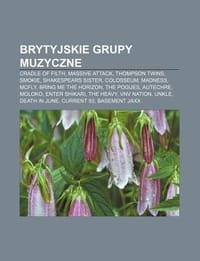 Brytyjskie Grupy Muzyczne