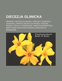 Diecezja Gliwicka