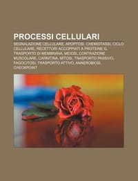 Processi Cellulari