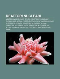 Reattori Nucleari