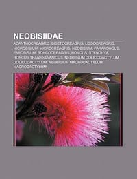 Neobisiidae