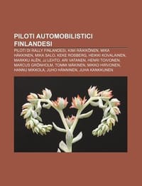 Piloti Automobilistici Finlandesi