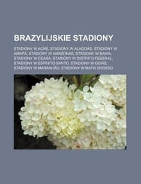 Brazylijskie Stadiony