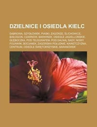Dzielnice I Osiedla Kielc