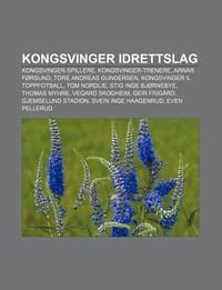 Kongsvinger Idrettslag