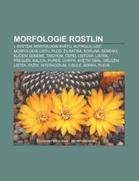 Morfologie Rostlin - Zdroj Wikipedia