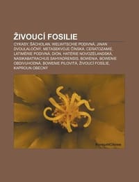 Ivouc Fosilie - Zdroj Wikipedia