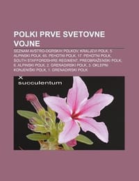 Polki Prve Svetovne Vojne